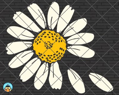 Daisy Flower SVG