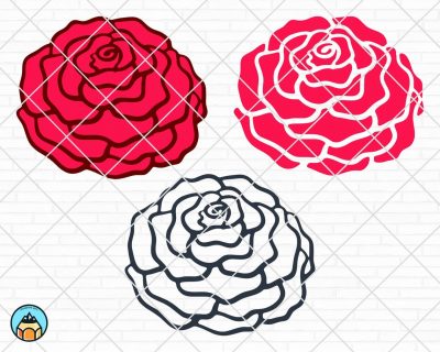 Begonia Flower SVG