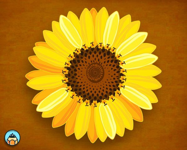 Sunflower SVG