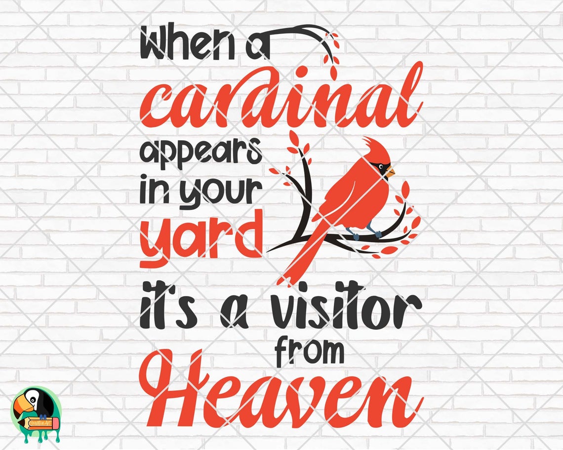 Download When a Cardinal appears in your yard it's a visitor from ...